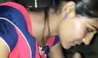 Desi Gujju wife With BF Loves Sex with Audio