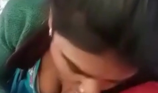 Indian Truck Driver Sex Video