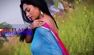 My Sexy Bengali get hitched surrounding Saree Indiscriminate Tit  visisble